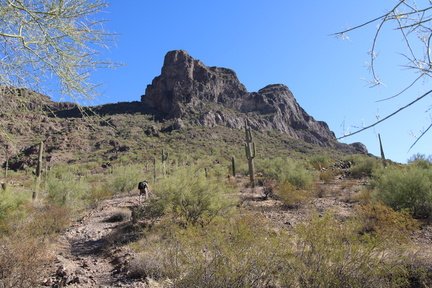 IMG 0266 2