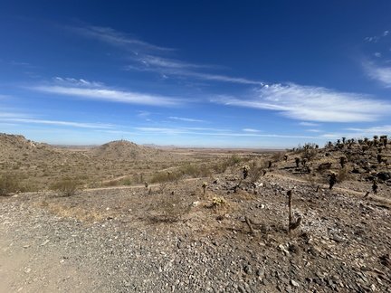 IMG 0763