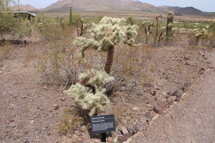 IMG 0508