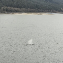 Alaska 2025