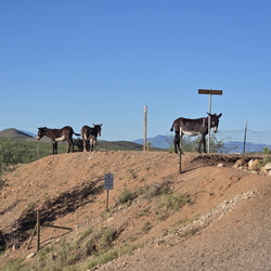 Tombstone, AZ September 2025