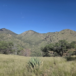 Guindani Loop Trail - Kartchner Caverns State Park Arizona September 2025