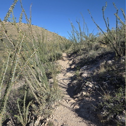 Morning hike at Foothills Loop Trail - Kartchner Caverns State Park, Arizona - October 2025